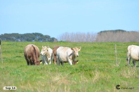 Lot 2 Limestone Coast Rd, Cape Jaffa, SA 5275