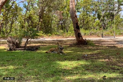 3 Marloo Avenue Orchid Bch, Fraser Island, QLD 4581