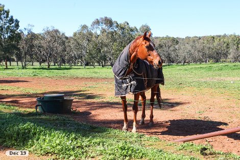 44 Coondle West Rd, Coondle, WA 6566