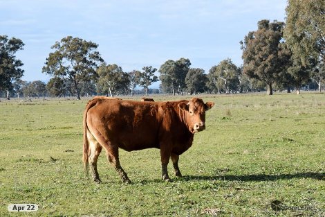 267 Greens Rd, Wangaratta South, VIC 3678