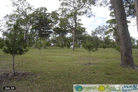 571 Matchbox Rd, Deepwater, QLD 4674