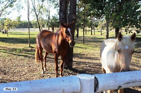 533 Cape Hillsborough Rd, Ball Bay, QLD 4741