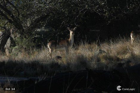 Lot 78 Halls Creek Rd, Halls Creek, NSW 2346