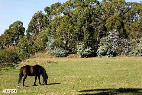 85 Bushbys Rd, Barongarook, VIC 3249