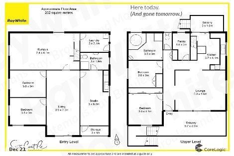 22 Wallarah St, Surfside, NSW 2536