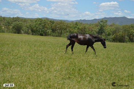 693 Wolfram Rd, Dimbulah, QLD 4872