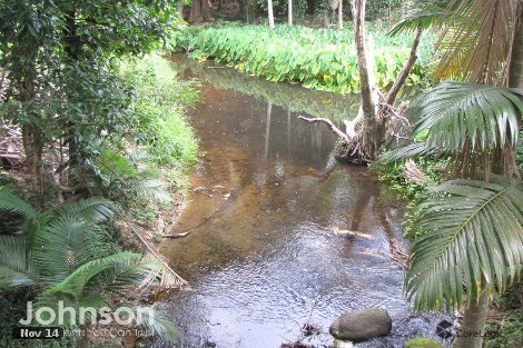 3 Gorge View Cres, Mossman Gorge, QLD 4873