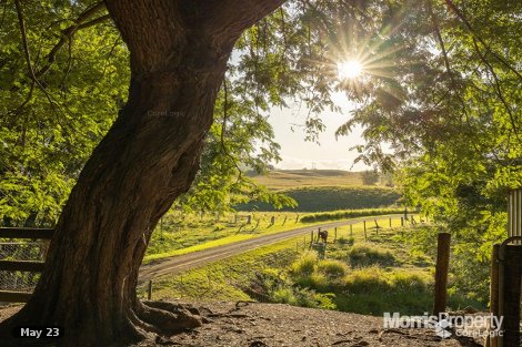 111 Oaky Connection Rd, Oaky Creek, QLD 4285