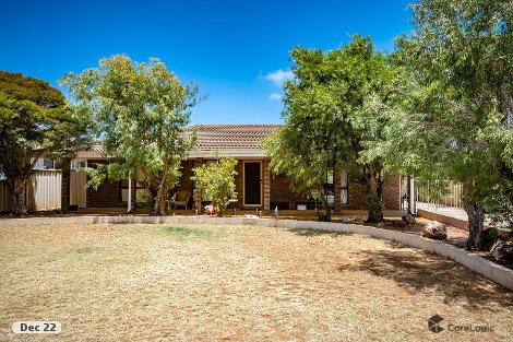 22 Pinyali Way, Waggrakine, WA 6530