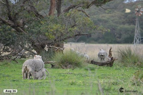 387 Heinrichs Rd, Conmurra, SA 5272