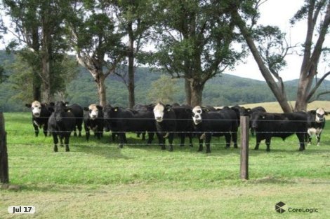 Lot 115 Mill Creek Rd, Stroud, NSW 2425