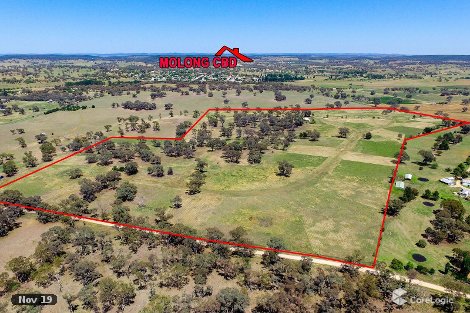 168 Euchareena Rd, Molong, NSW 2866