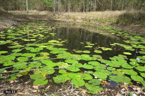 Lot 79 North Belmore Rd, Busbys Flat, NSW 2469