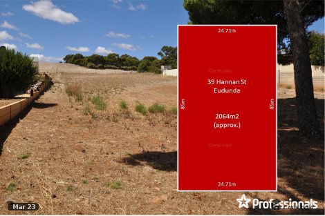 39 Hannan St, Eudunda, SA 5374