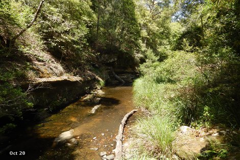 Lot 80 Duck Creek Rd, Duck Creek, NSW 2469