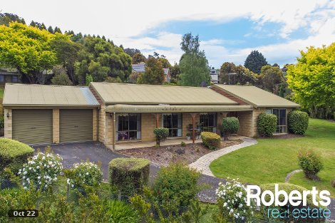 10 Pleasant Hills Dr, Grindelwald, TAS 7277