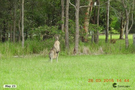 93 Boden Rd, Wamuran, QLD 4512