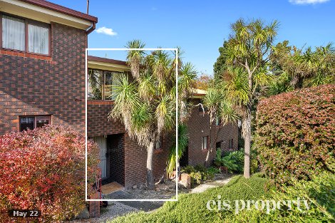 13/4 Davey Pl, South Hobart, TAS 7004