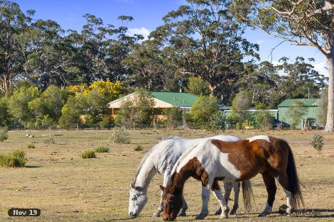 10746 Tasman Hwy, Little Swanport, TAS 7190