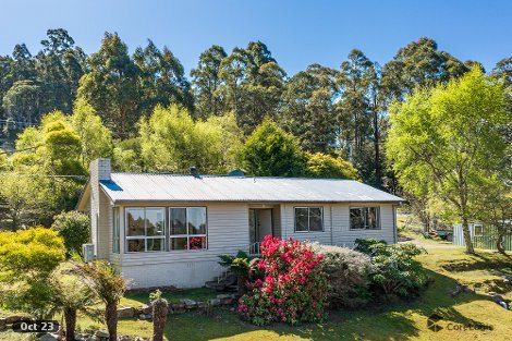 806 Huon Rd, Fern Tree, TAS 7054