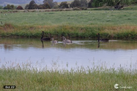 275 Soldier Settlers Rd, Tallangatta Valley, VIC 3701