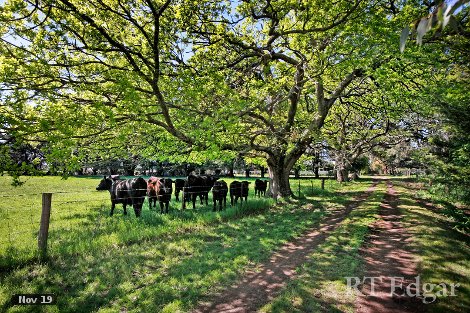 82 Ritchies Rd, Kyneton, VIC 3444