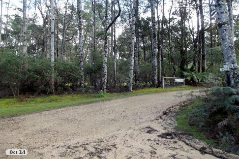 1062 Lottah Rd, Lottah, TAS 7216