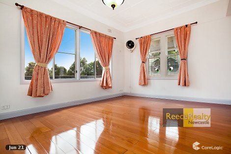 161 Old Maitland Rd, Hexham, NSW 2322