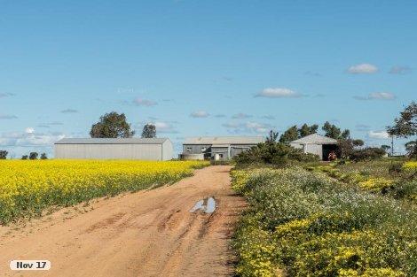 1620 Binnu Rd E, Binnu, WA 6532