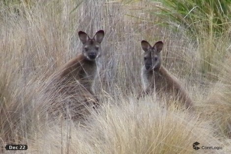 Lot 1 Stonehenge Rd, Whitefoord, TAS 7120