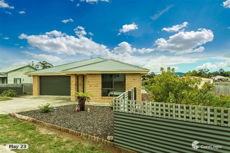 21 Winnaleah Rd, Winnaleah, TAS 7265