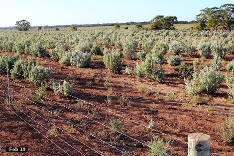 Lot 315 Bower Rd, Australia Plains, SA 5374