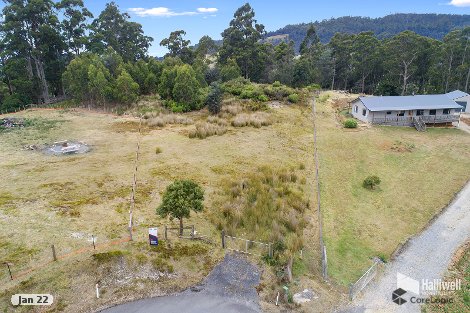 51 Roope Rd, Lower Barrington, TAS 7306