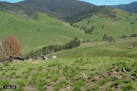 800 Moppy Creek Rd, Barrington Tops, NSW 2422