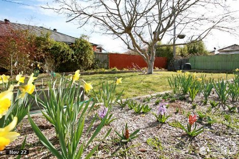 33 Elder St, Braddon, ACT 2612