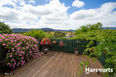 17 Hedley St, Scottsdale, TAS 7260