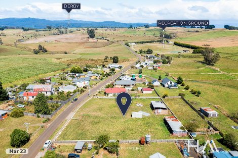 25 Winnaleah Rd, Winnaleah, TAS 7265