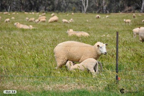 10 Hancocks Bridge Rd, Kotupna, VIC 3638