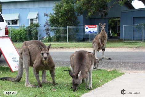 12 Poplar St, Bendalong, NSW 2539