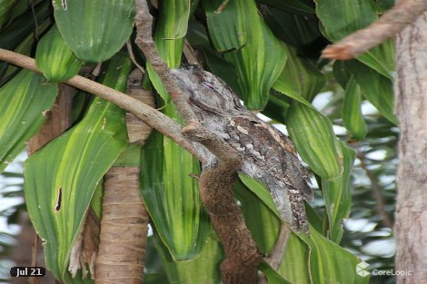 13-19 Treecreeper Ct, Elimbah, QLD 4516