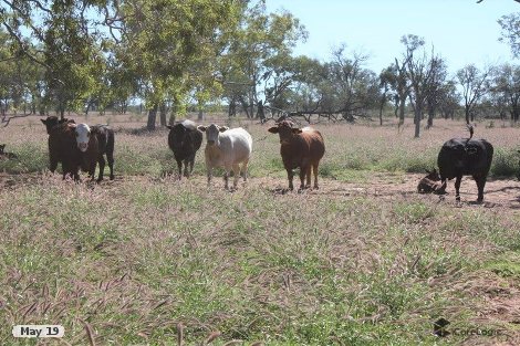 6480 Avington Rd, Blackall, QLD 4472