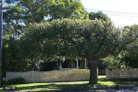 23 Portland St, Nedlands, WA 6009