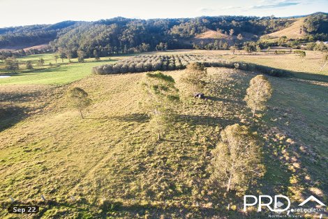 Lot 11 Eden Creek Rd, Wyneden, NSW 2474