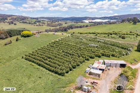 119 Forsters Rd, Batlow, NSW 2730