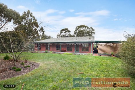 19 Cynthia Ct, Haddon, VIC 3351