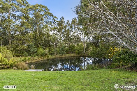 1025 Elephant Pass Rd, Gray, TAS 7215