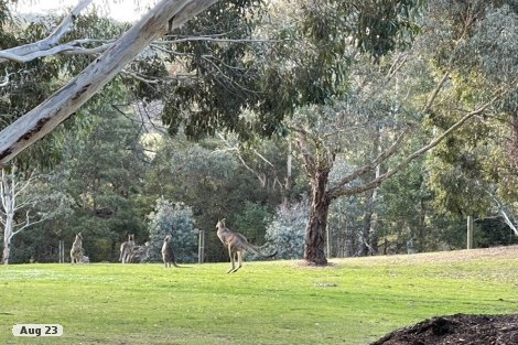 59 Shuter Ave, Greendale, VIC 3341