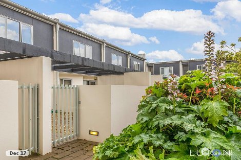 31/1 Beissel St, Belconnen, ACT 2617