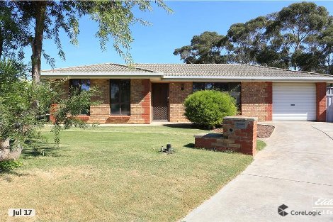 17 Window Rd, Willaston, SA 5118