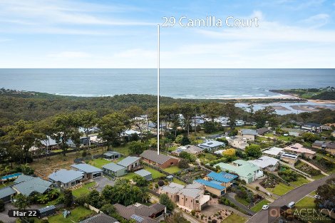 29 Camilla Ct, Mirador, NSW 2548